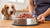 How to Serve Frozen Raw Dog Food: A Comprehensive Guide for Pet Owners