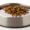 How to Soak Dog Kibble: A Comprehensive Guide for Pet Owners