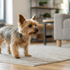 How to Soften Dog Kibble: A Comprehensive Guide for Pet Owners