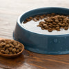 How to Soften Dog Kibble Quickly: Easy Methods for Happy Pups