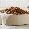 How to Soften Dry Dog Food Quickly: Simple Techniques for Happy Pups