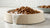 How to Soften Dry Dog Food Quickly: Simple Techniques for Happy Pups