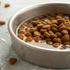 How to Soften Kibble Dog Food: Tips for a Happier, Healthier Pup