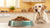 How to Soften Kibble for Senior Dogs: A Comprehensive Guide