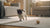 How to Start a Raw Diet for Dogs: A Comprehensive Guide