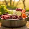 How to Start a Raw Food Diet for My Dog: A Comprehensive Guide for Healthier Canine Eating Habits
