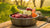How to Start a Raw Food Diet for My Dog: A Comprehensive Guide for Healthier Canine Eating Habits