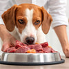 How to Start Feeding Your Dog Raw Food: A Comprehensive Guide for Pet Owners