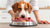 How to Start Feeding Your Dog Raw Food: A Comprehensive Guide for Pet Owners