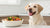 How to Start My Dog on a Raw Food Diet: A Comprehensive Guide