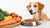 How to Start Your Dog on a Raw Food Diet: A Comprehensive Guide for Pet Owners