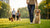 How to Stop Aggressive Dog Behavior Towards Other Dogs: A Comprehensive Guide for Pet Owners-141218218223