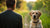 How to Stop Attention-Seeking Behavior in Dogs: Effective Strategies for Pet Owners