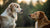 How to Stop Dog Aggression Towards Other Dogs: A Comprehensive Guide for Pet Owners