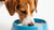 How to Stop Dog Digging in Water Bowl: A Comprehensive Guide for Loving Pet Owners-140855148783