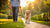 How to Stop Dog Marking Behavior: A Comprehensive Guide for Pet Owners-141218578671