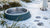 How to Stop Dog Water Bowl Freezing: Effective Solutions for Cold Weather-140792168687