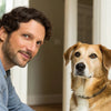 How to Stop Dog Wee in House: A Comprehensive Guide for Pet Owners