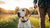 How to Stop Mounting Behavior in Male Dogs: Tips and Insights-141217267951