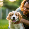 How to Stop Naughty Dog Behavior: A Comprehensive Guide for Pet Owners