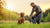 How to Stop Unwanted Dog Behavior: Mastering Positive Reinforcement and Training Techniques