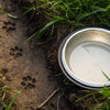 How to Stop Your Dog from Digging in Their Water Bowl: Effective Strategies for Pet Owners
