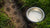 How to Stop Your Dog from Digging in Their Water Bowl: Effective Strategies for Pet Owners