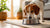 How to Stop Your Dog from Knocking Over Their Water Bowl: Practical Solutions