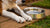 How to Stop Your Dog from Putting Paws in Water Bowl: Effective Solutions for a Mess-Free Experience