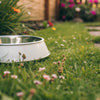 How to Stop Your Dog’s Water Bowl from Going Green: A Comprehensive Guide