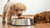 How to Stop Your Puppy from Eating Other Dogs' Food: A Comprehensive Guide