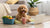 How to Store Canned Dog Food After Opening: Essential Tips for Pet Owners