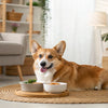 How to Store Dog Kibble Long Term: Ultimate Guide for Pet Owners