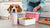 How to Store Dog Wet Food: Essential Tips for Every Dog Owner