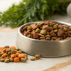 How to Store Freeze-Dried Dog Food: Essential Tips for Freshness and Quality