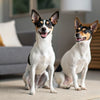 How to Store Leftover Wet Dog Food: Essential Tips for Pet Owners