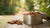 How to Store Unused Canned Dog Food: Essential Tips for Pet Owners