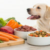How to Supplement a Raw Dog Food Diet for Optimal Nutrition