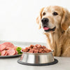How to Switch a Dog to Raw Food: A Comprehensive Guide for Pet Owners