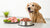 How to Switch a Dog to Raw Food: A Comprehensive Guide for Pet Owners
