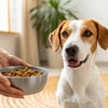 How to Switch from Puppy to Dog Food: A Comprehensive Guide for Pet Owners