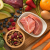 How to Switch to a Raw Food Diet for Dogs: A Comprehensive Guide