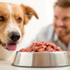 How to Switch Your Dog from Kibble to Raw Food: A Comprehensive Guide