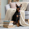 How to Take Care of a Dog: A Comprehensive Guide for Pet Parents