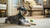 How to Take Care of a Dog with Distemper: A Comprehensive Guide for Pet Owners