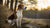 How to Teach Your Dog Calm Behavior: The Path to a Serene Canine Life-141095108847