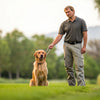 How to Train a Dog Not to Bite: A Comprehensive Guide for Pet Owners