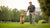 How to Train a Dog Not to Bite: A Comprehensive Guide for Pet Owners