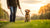 How to Train a Dog Not to Eat Poisoned Food: A Comprehensive Guide for Every Dog Owner-140212437231