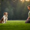 How to Train a Dog to Speak: A Comprehensive Guide for Pet Owners